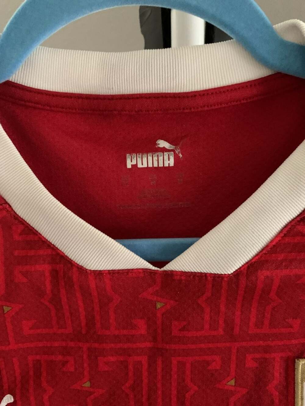 Puma Serbia 2020-2021 Men's Home Soccer Jersey - Picture 5 of 9